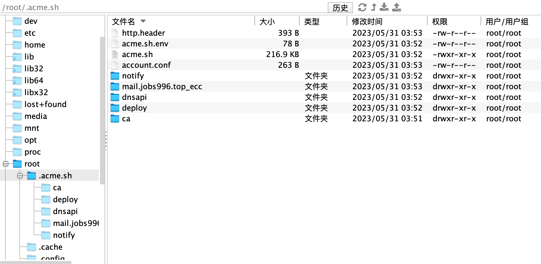 image-20230531040234539